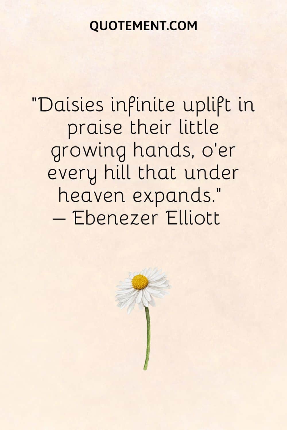 Daisies infinite uplift in praise their little growing hands, o'er every hill that under heaven expands