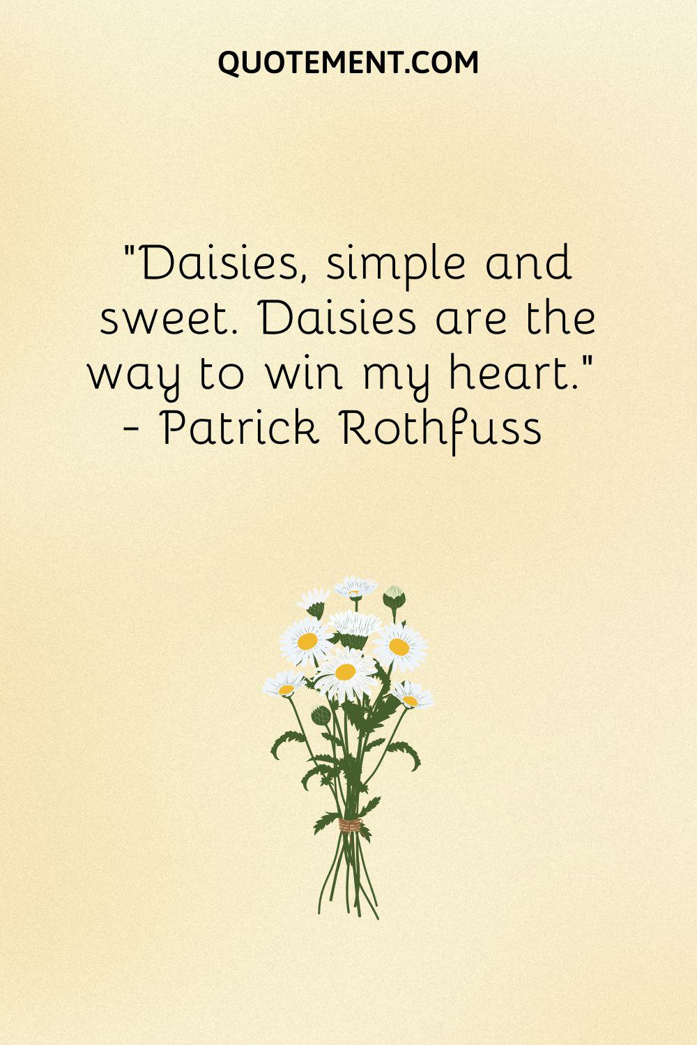 Daisies, simple and sweet. Daisies are the way to win my heart.