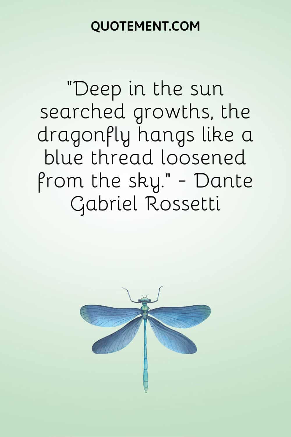 Deep in the sun searched growths, the dragonfly hangs like a blue thread loosened from the sky.