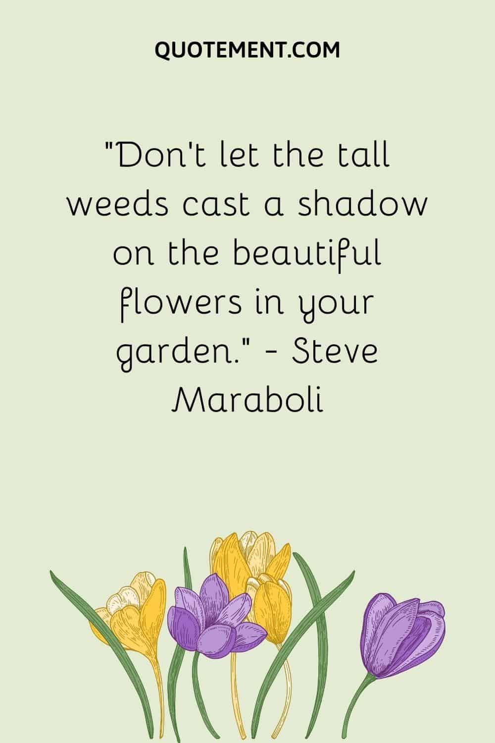 “Don’t let the tall weeds cast a shadow on the beautiful flowers in your garden.” — Steve Maraboli
