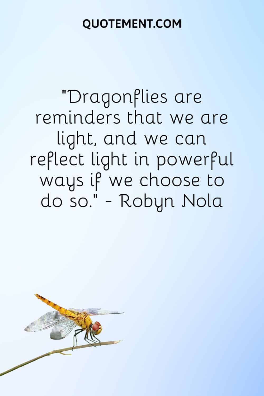 Dragonflies are reminders that we are light, and we can reflect light in powerful ways if we choose to do so