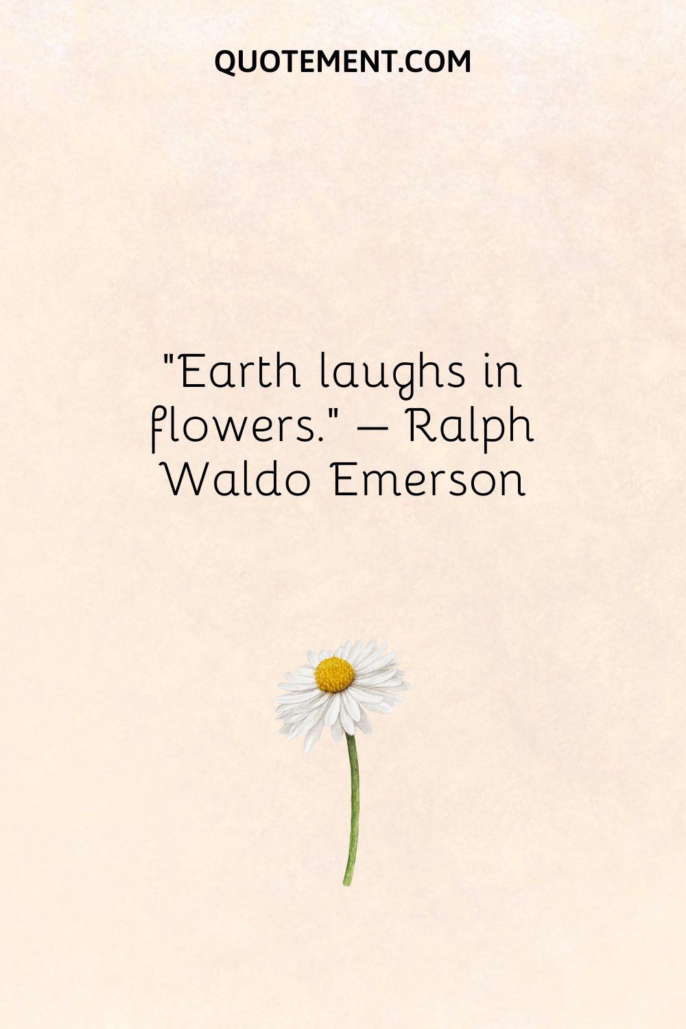 Earth laughs in flowers