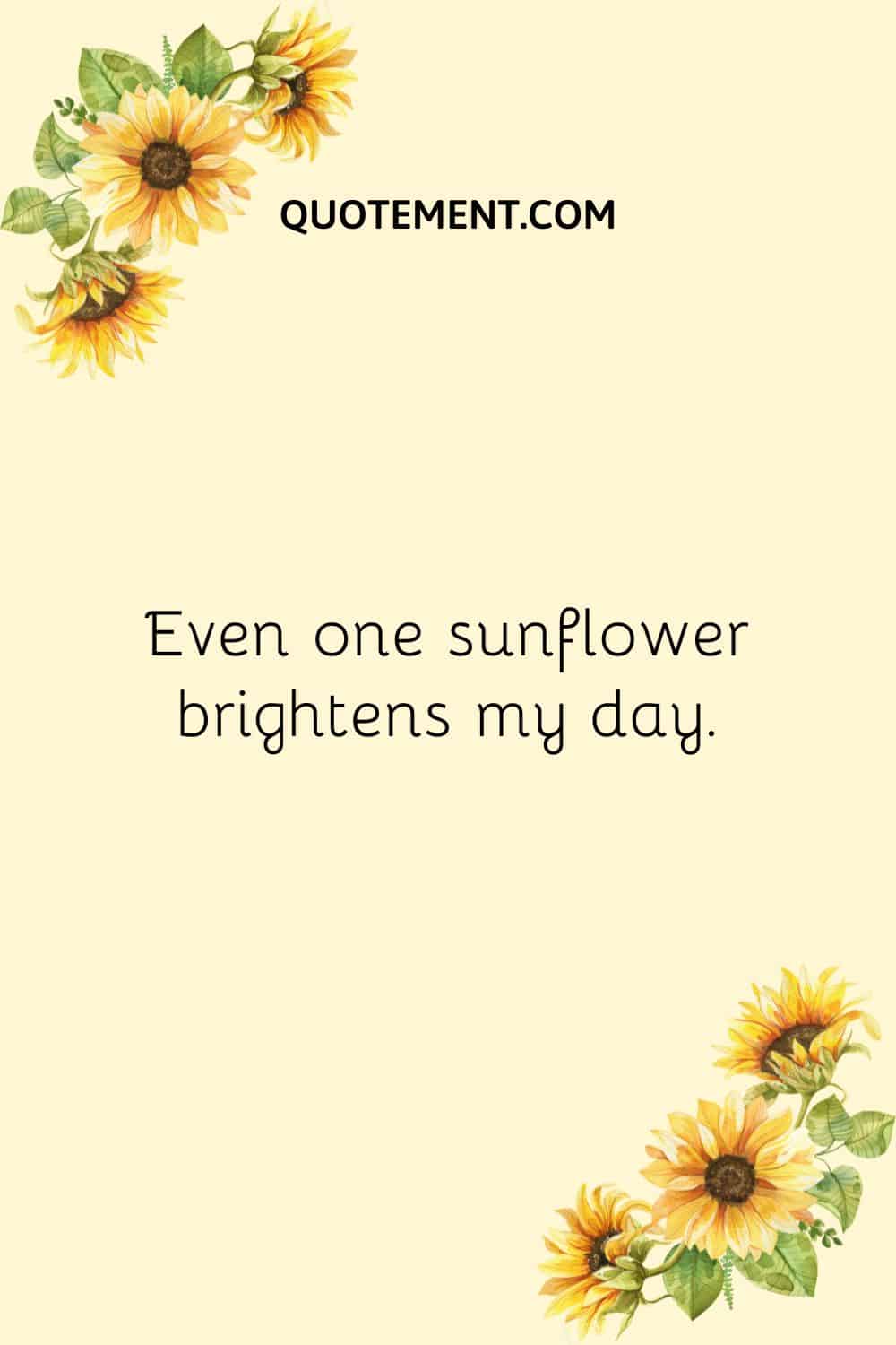 Even one sunflower brightens my day.