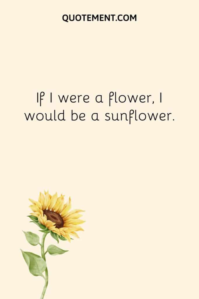250 Unique Sunflower Captions To Spark Your Inspiration