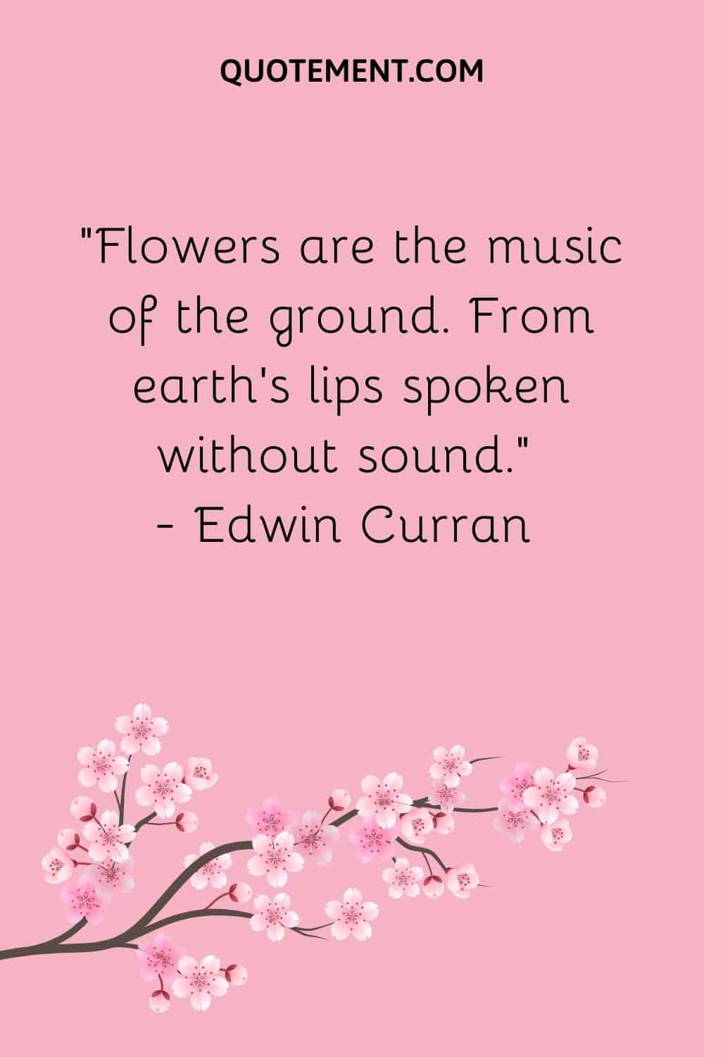 “Flowers are the music of the ground. From earth’s lips spoken without sound.” — Edwin Curran