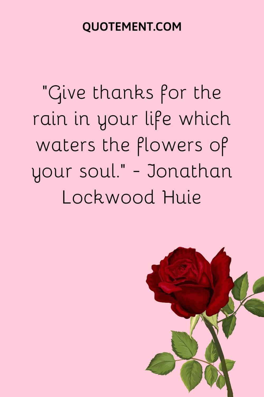 “Give thanks for the rain in your life which waters the flowers of your soul.” — Jonathan Lockwood Huie