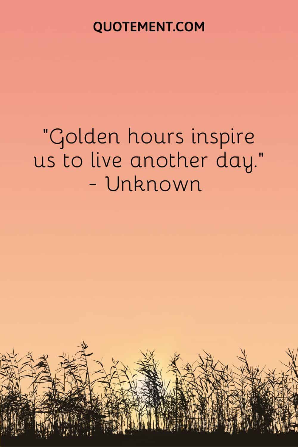 Golden hours inspire us to live another day