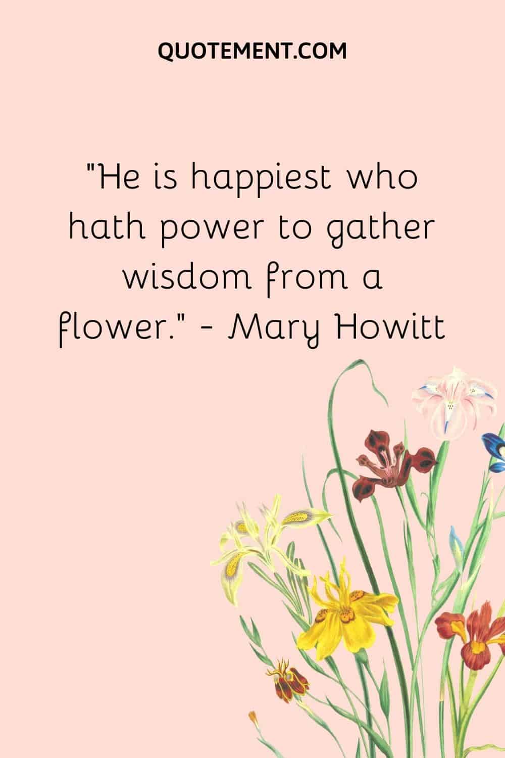 “He is happiest who hath power to gather wisdom from a flower.” — Mary Howitt