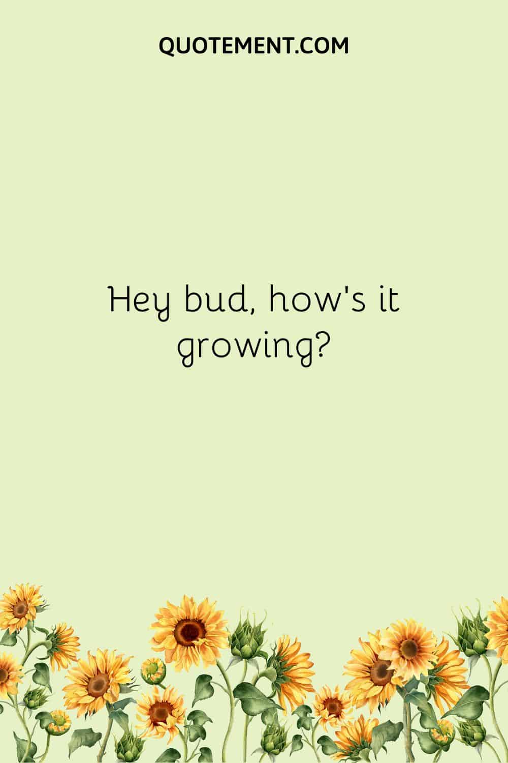 Hey bud, how’s it growing