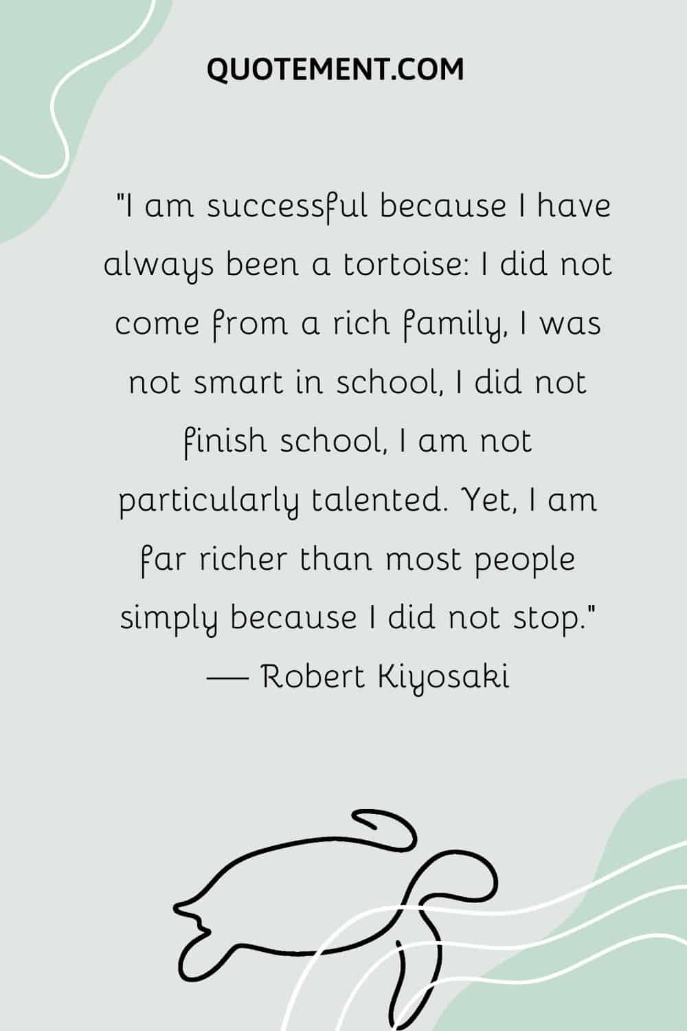 I am successful because I have always been a tortoise
