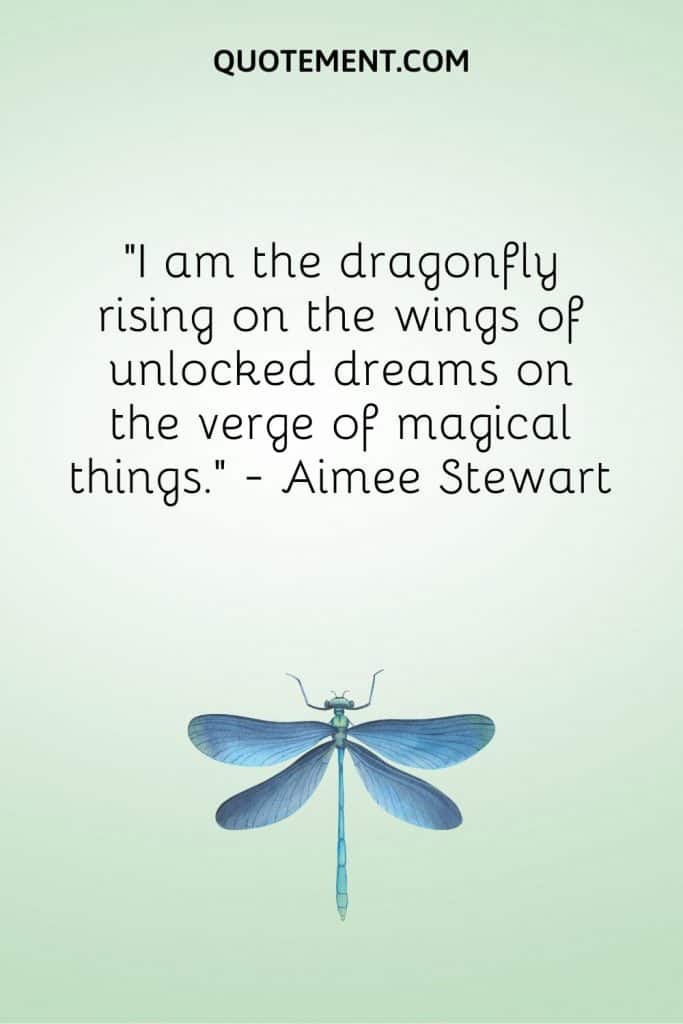 70 Enchanting Dragonfly Quotes For Wisdom And Inspiration