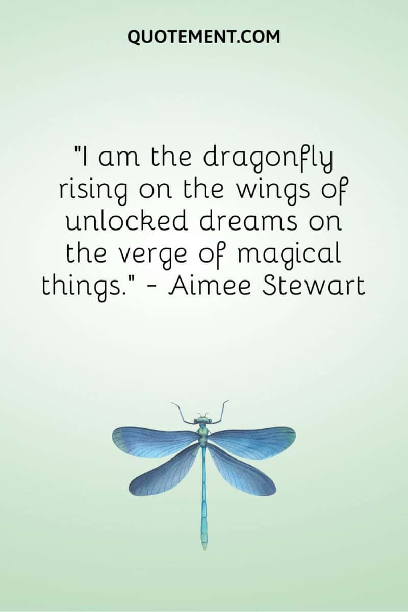 70 Enchanting Dragonfly Quotes For Wisdom And Inspiration