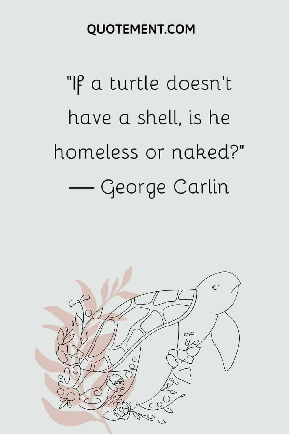 If a turtle doesn’t have a shell, is he homeless or naked