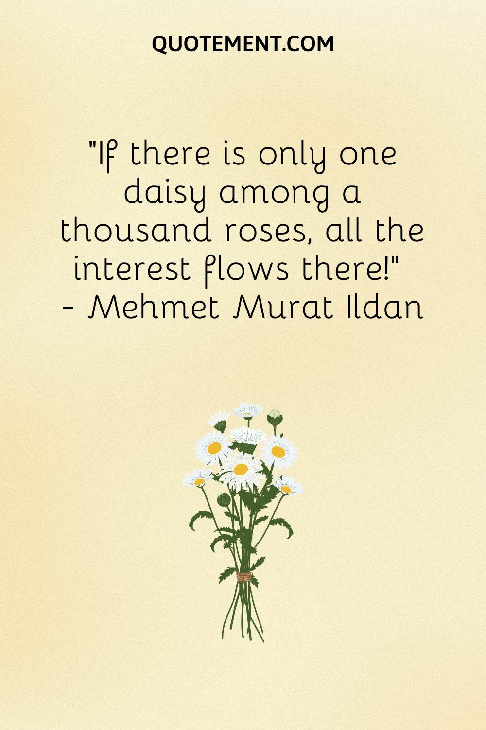 If there is only one daisy among a thousand roses, all the interest flows there