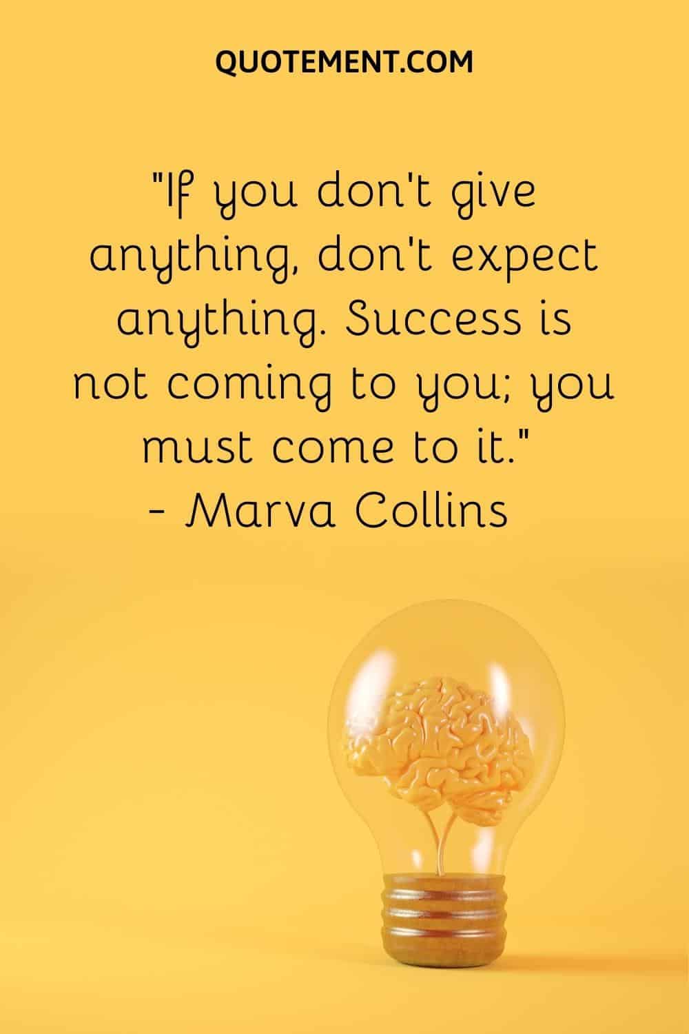 “If you don’t give anything, don’t expect anything. Success is not coming to you; you must come to it.” — Marva Collins