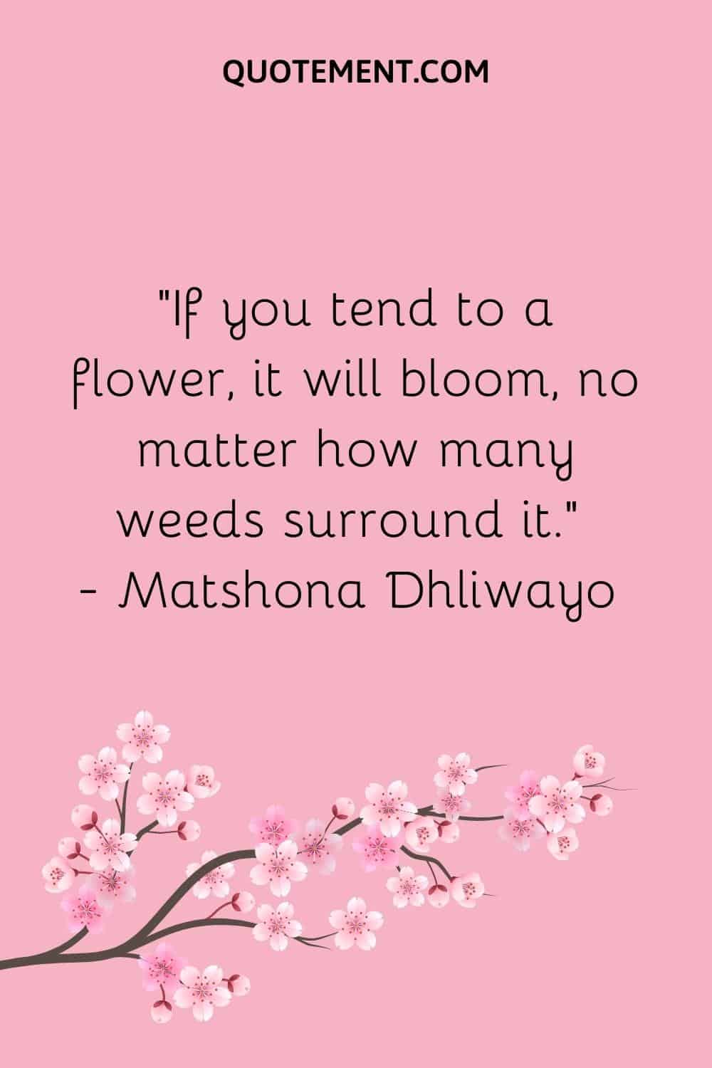 “If you tend to a flower, it will bloom, no matter how many weeds surround it.” — Matshona Dhliwayo