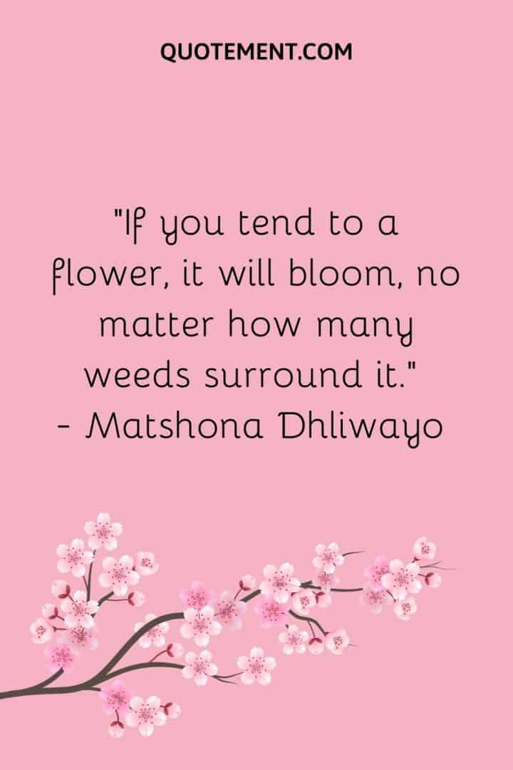 130 Beautiful Short Flower Quotes To Add Colors To Your Day