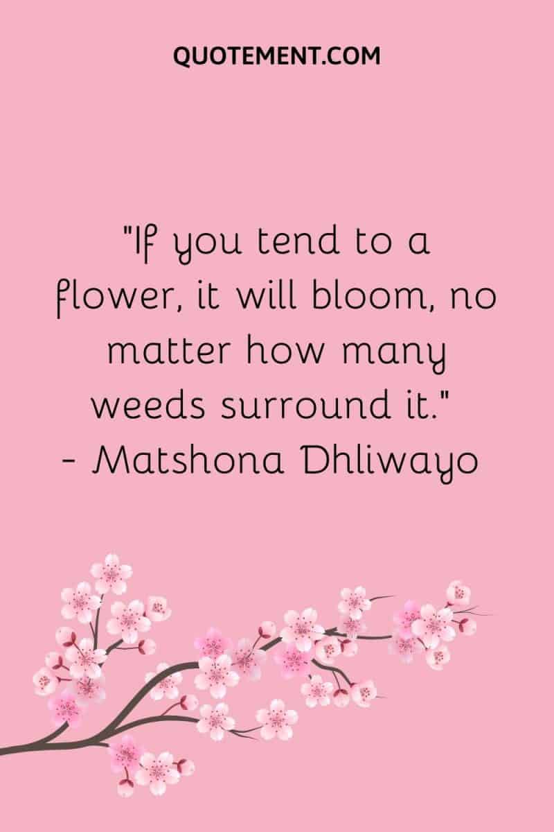 130 Beautiful Short Flower Quotes To Add Colors To Your Day
