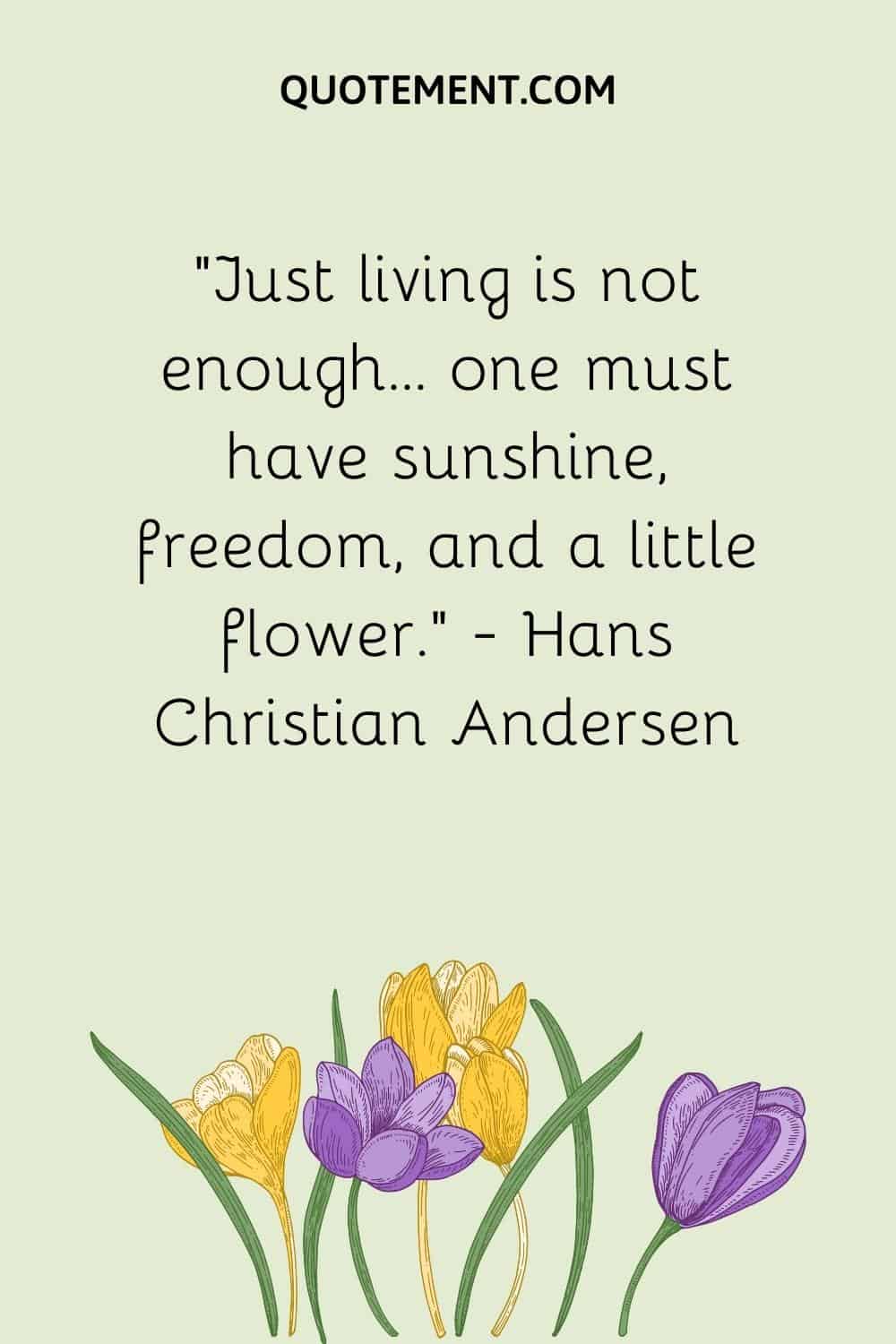 “Just living is not enough… one must have sunshine, freedom, and a little flower.” — Hans Christian Andersen