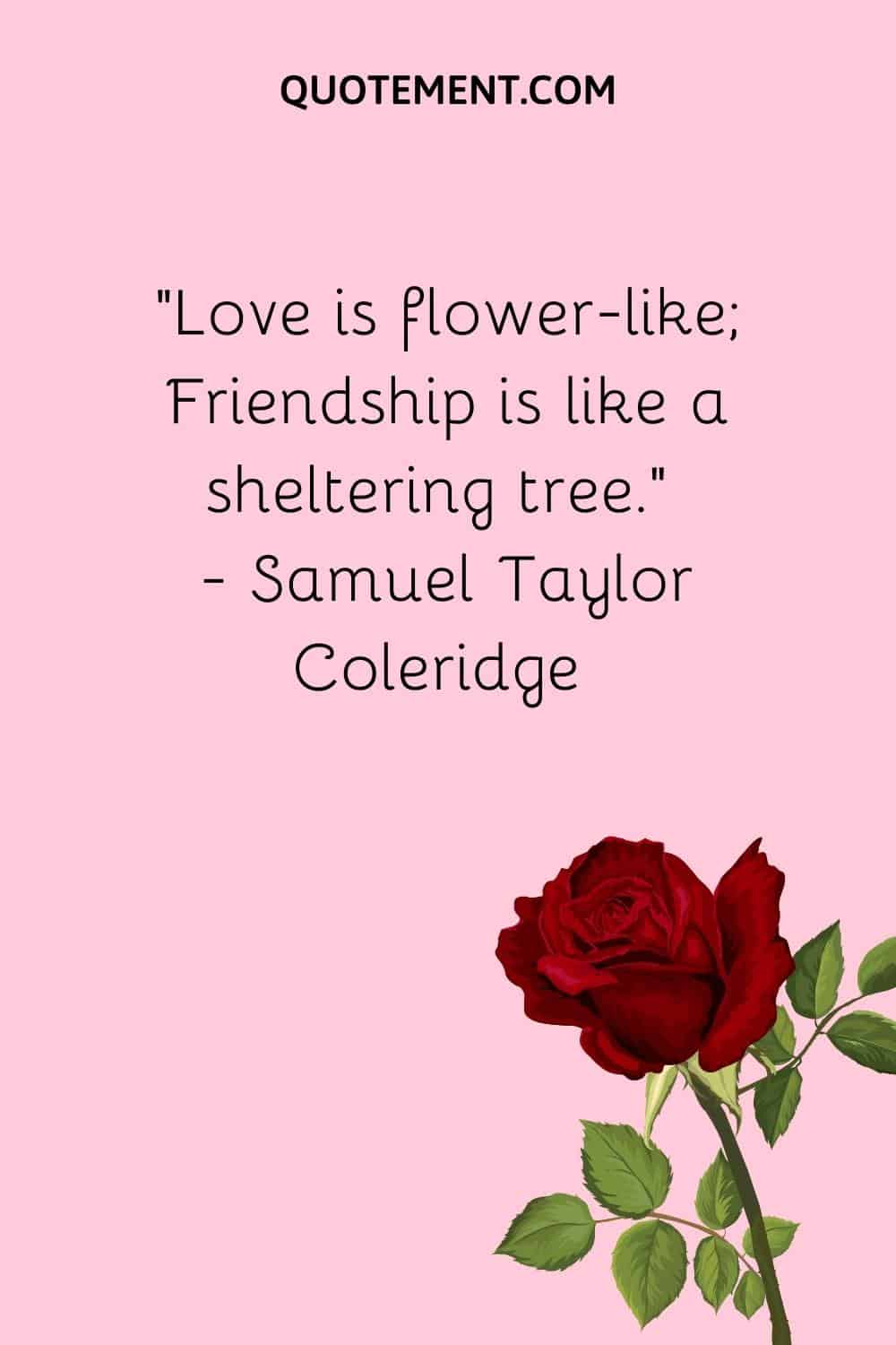 “Love is flower-like; Friendship is like a sheltering tree.” — Samuel Taylor Coleridge