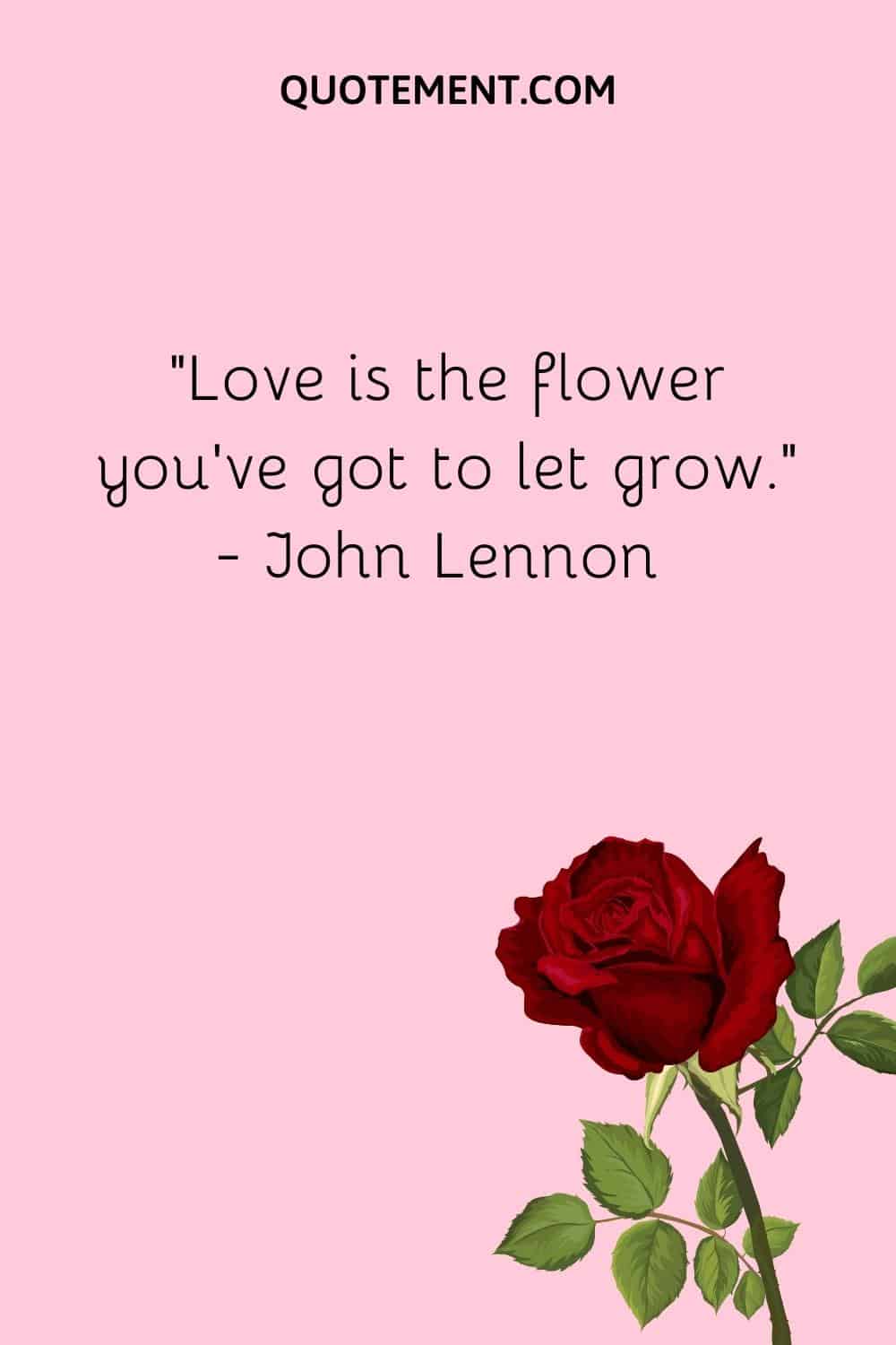 “Love is the flower you’ve got to let grow.” — John Lennon