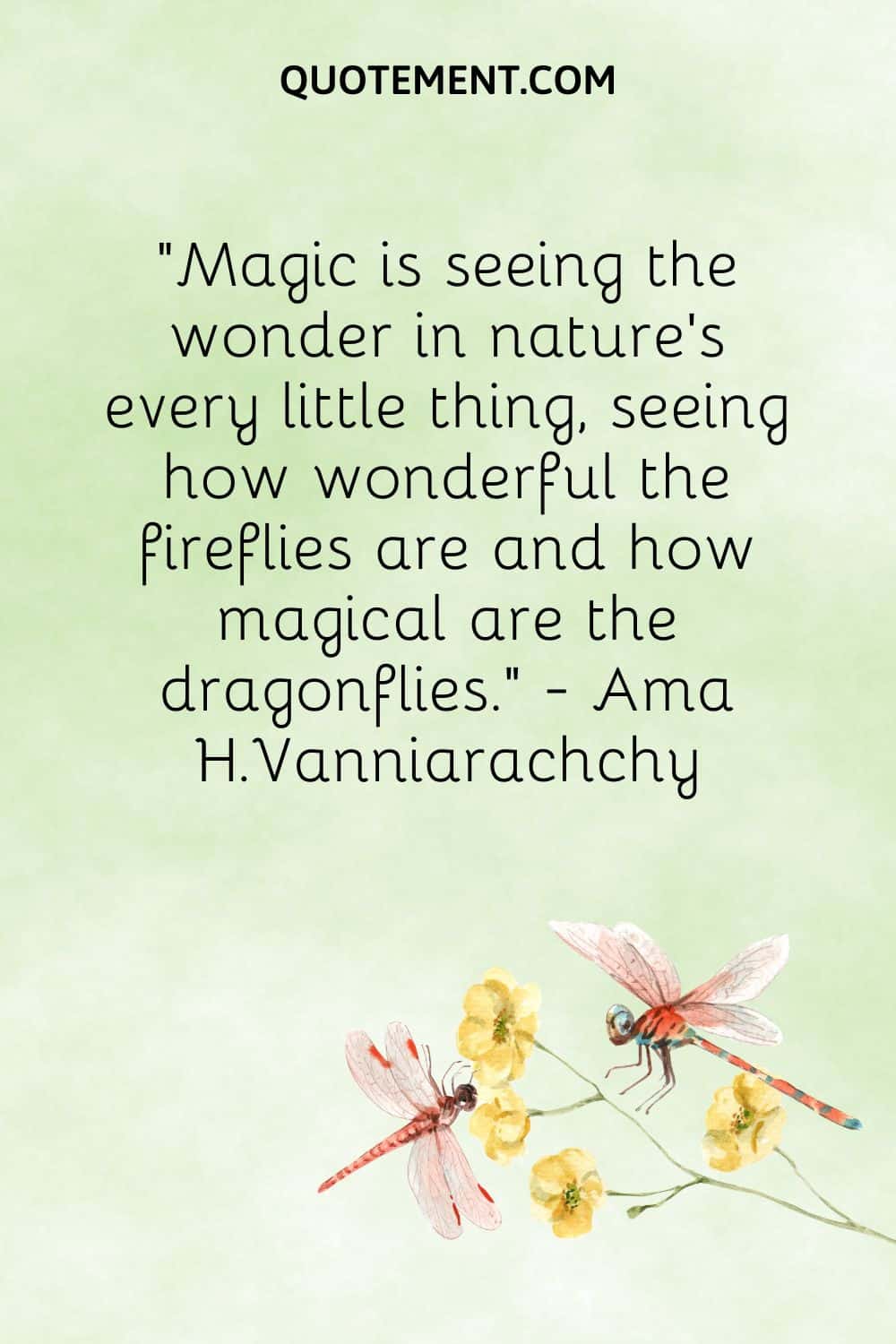 Magic is seeing the wonder in nature’s every little thing, seeing how wonderful the fireflies are and how magical are the dragonflies