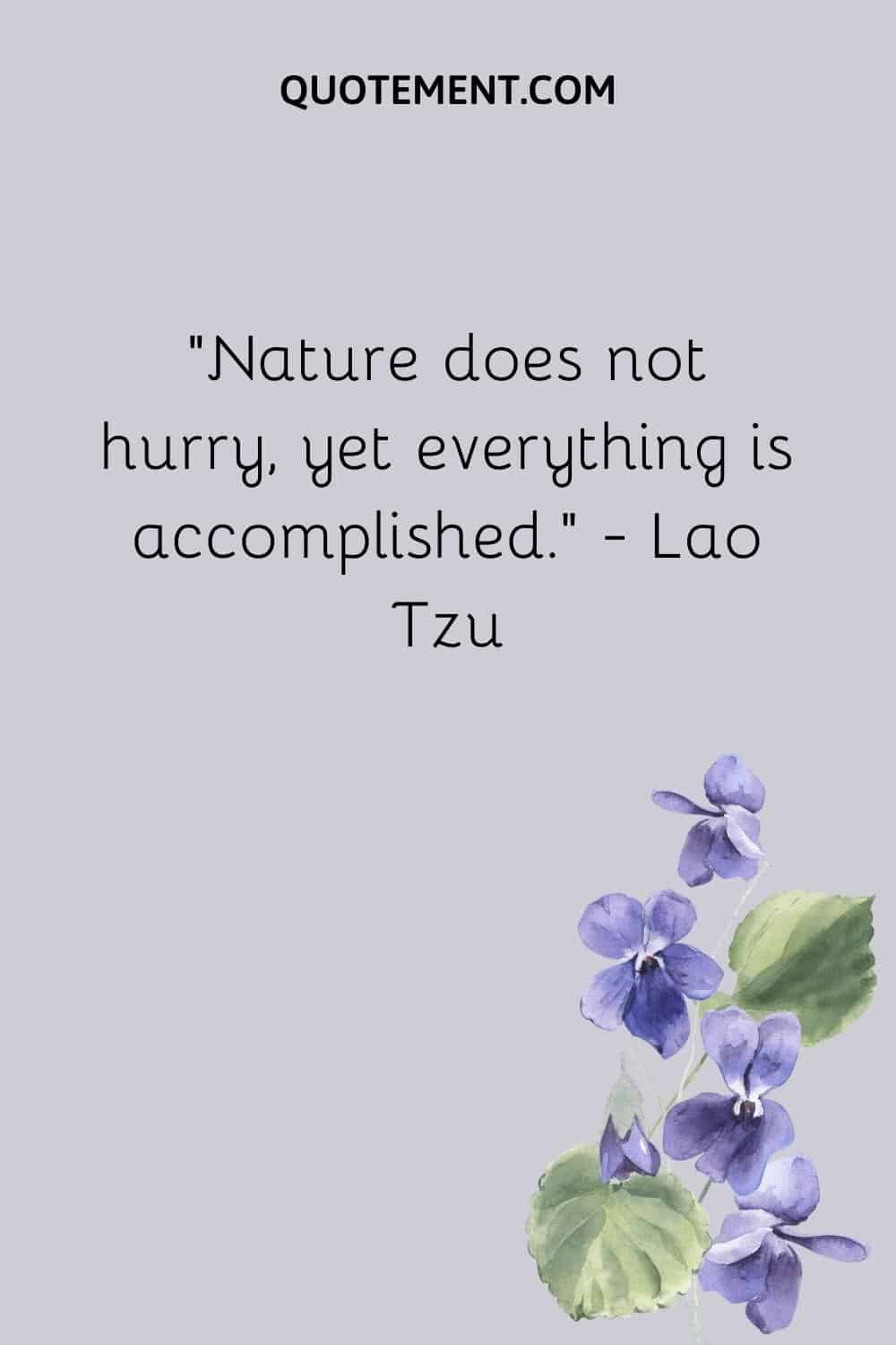 “Nature does not hurry, yet everything is accomplished.” — Lao Tzu