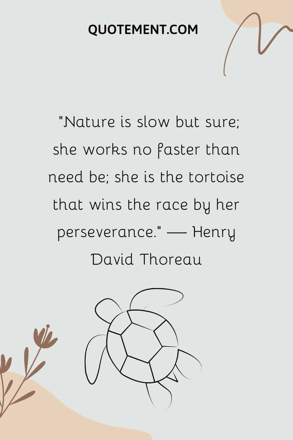 Nature is slow but sure; she works no faster than need be