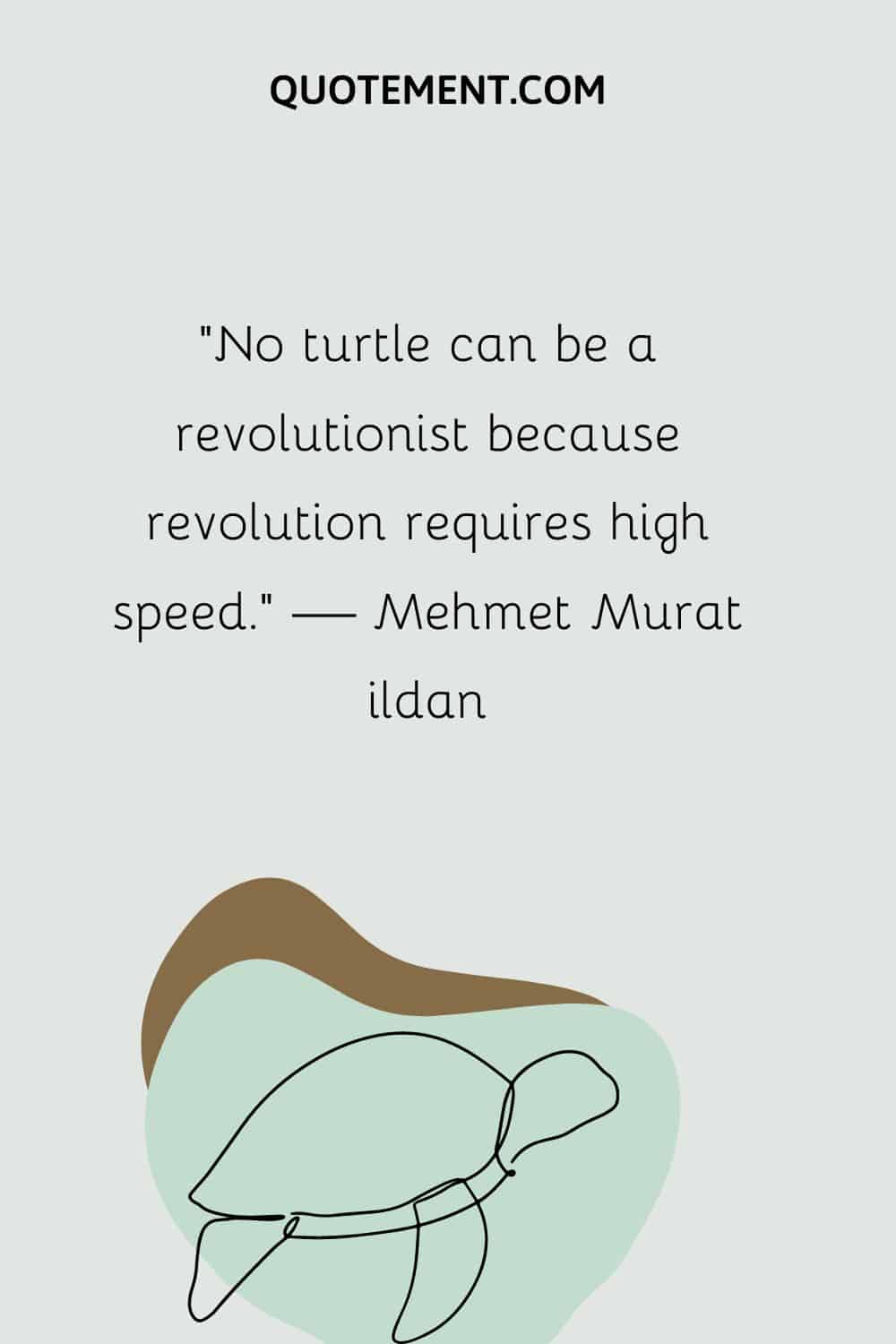 No turtle can be a revolutionist because revolution requires high speed