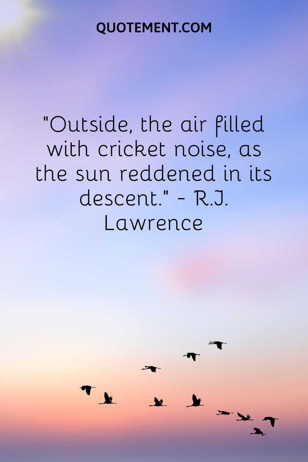 Outside, the air filled with cricket noise, as the sun reddened in its descent