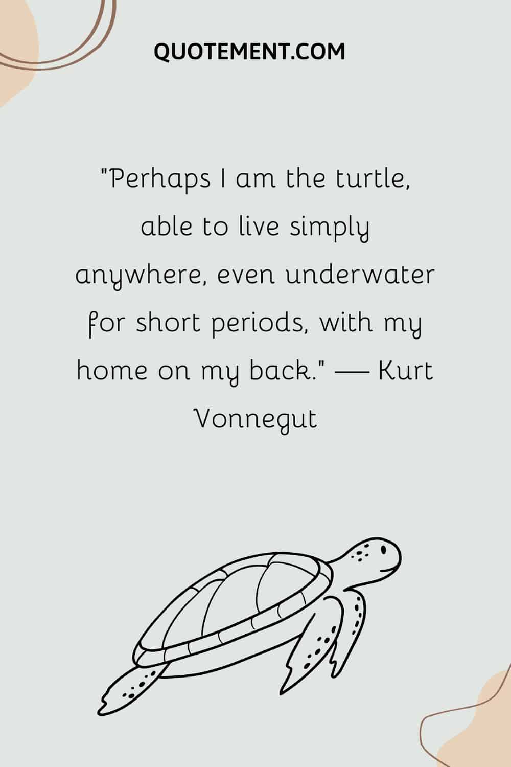 Perhaps I am the turtle, able to live simply anywhere