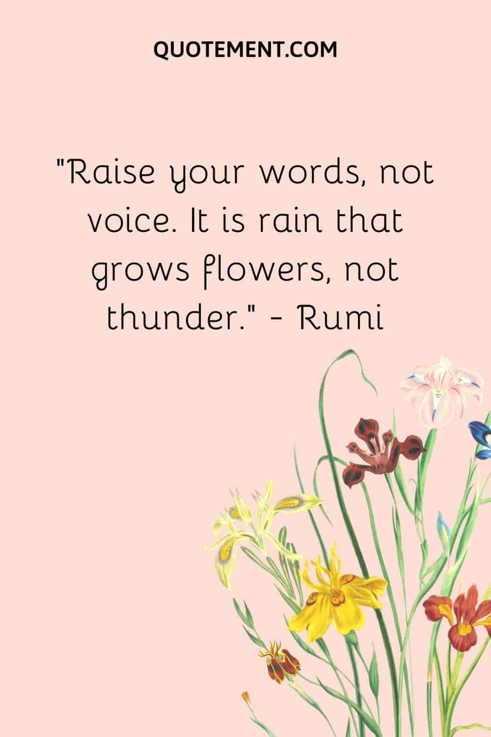 “Raise your words, not voice. It is rain that grows flowers, not thunder.” — Rumi