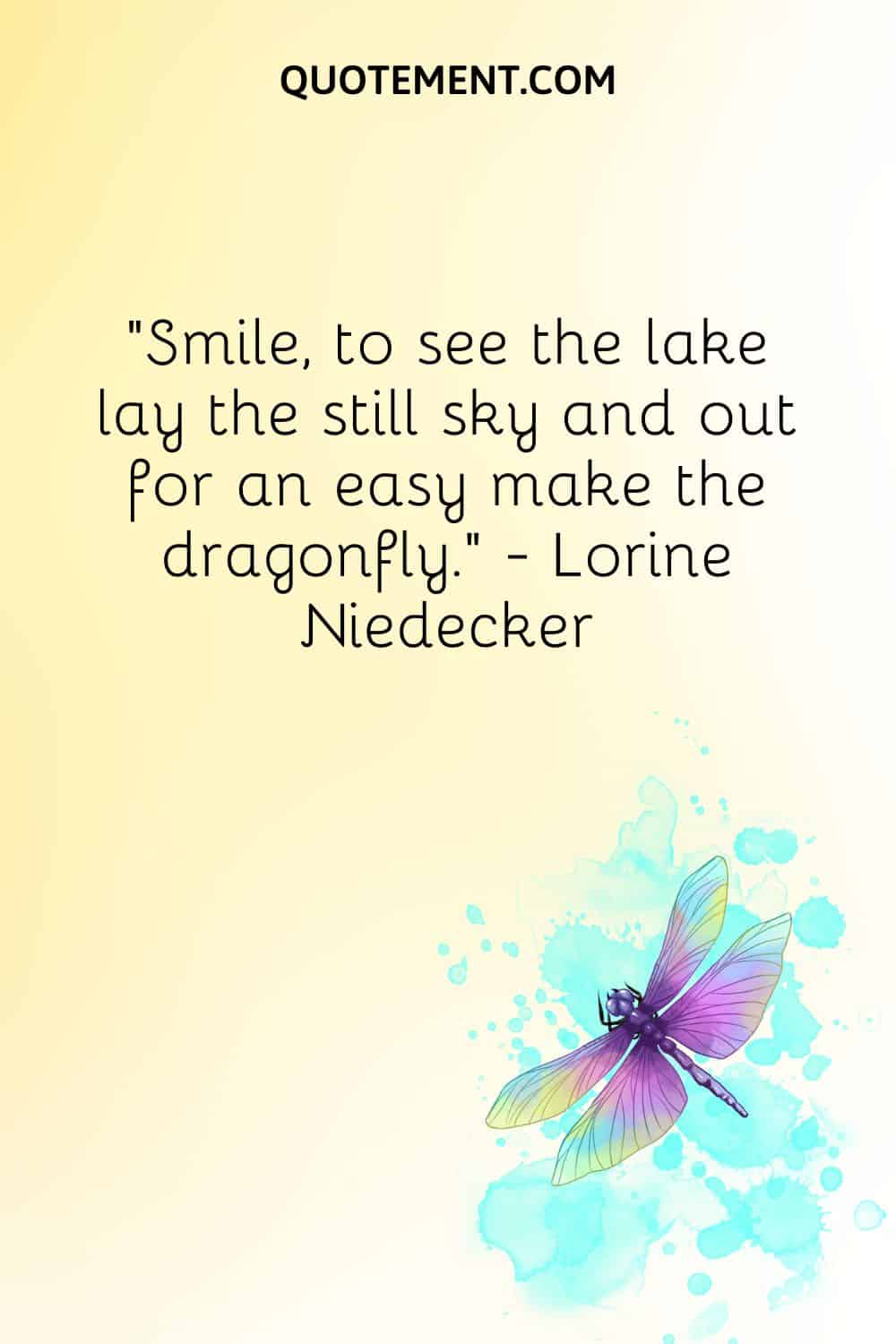 Smile, to see the lake lay the still sky and out for an easy make the dragonfly