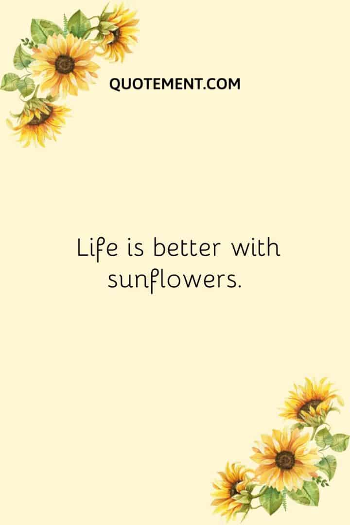 250 Unique Sunflower Captions To Spark Your Inspiration