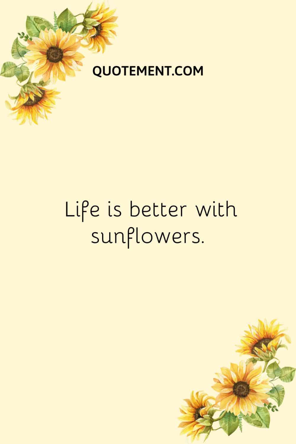 Sunflower caption and a cute sunflower illustration.