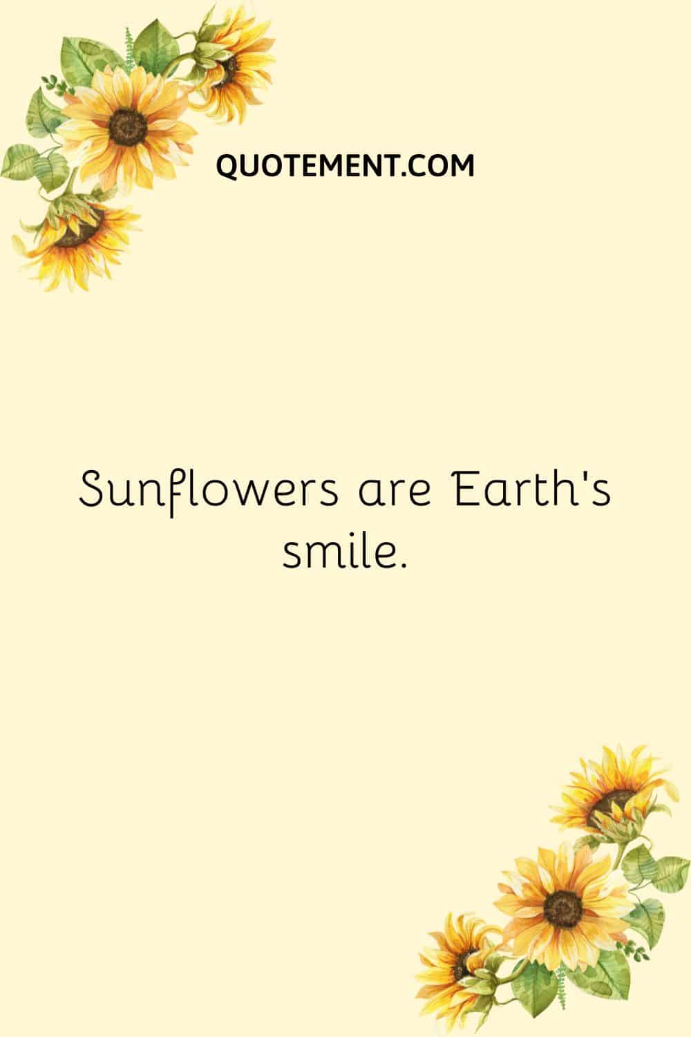 Sunflowers are Earth’s smile.