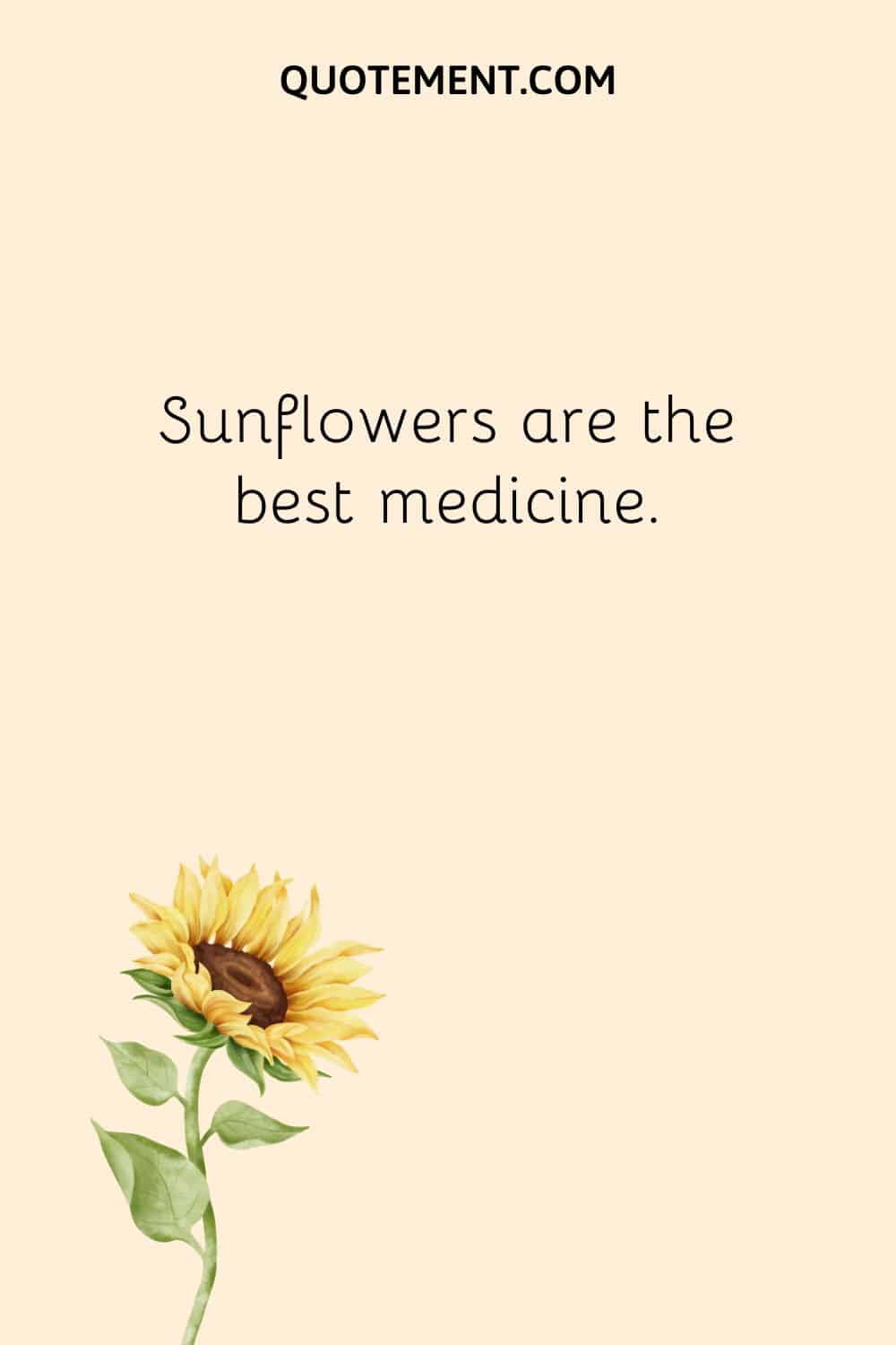 Sunflowers are the best medicine.