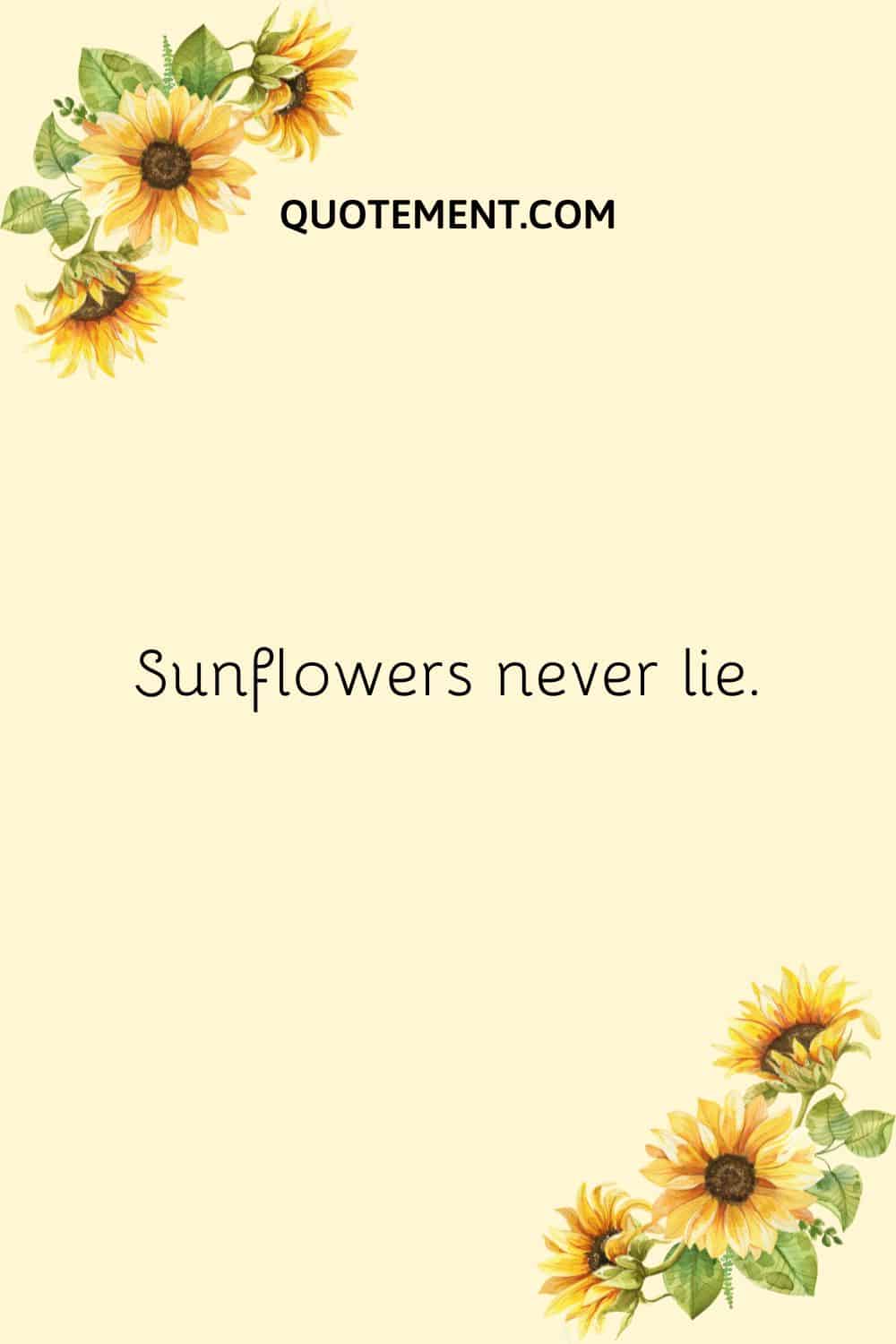 Sunflowers never lie.