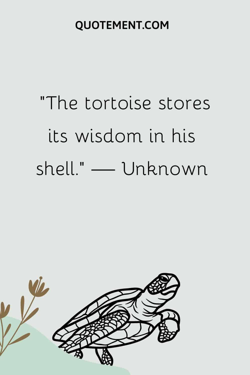 The tortoise stores its wisdom in his shell
