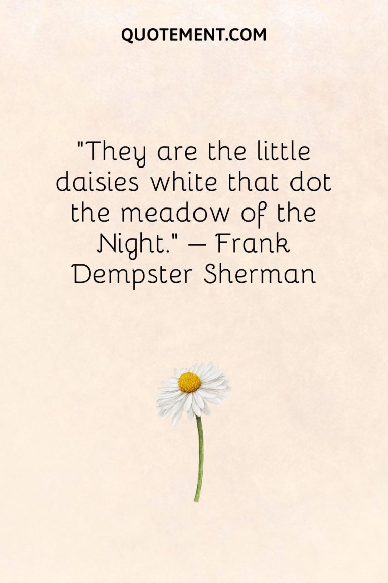 130 Lovely Daisy Quotes To Cherish Its Power And Beauty(02)