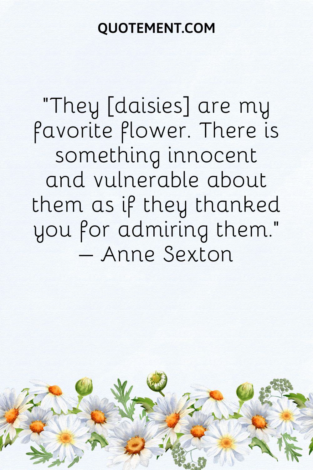 They [daisies] are my favorite flower.