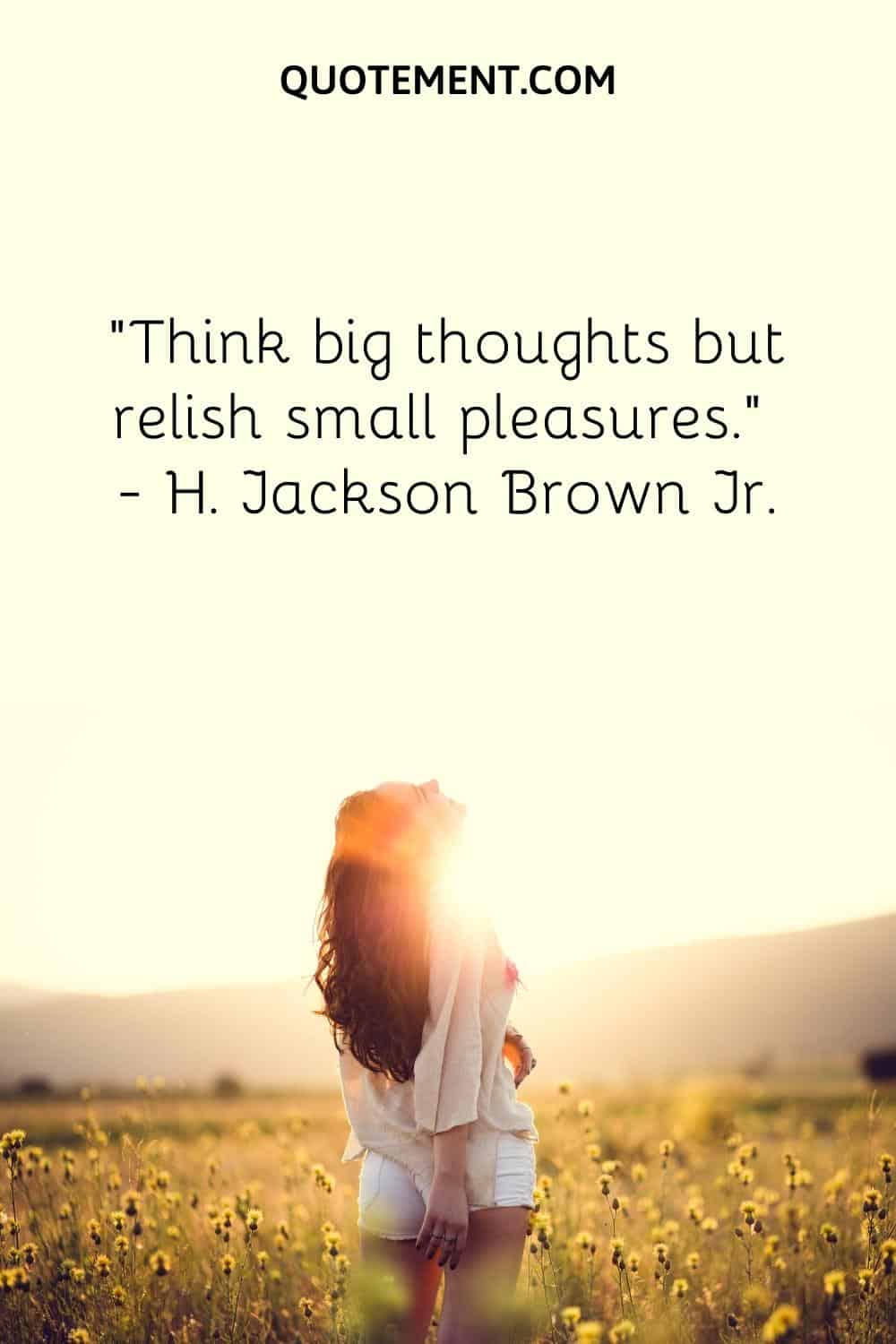 Think big thoughts but relish small pleasures