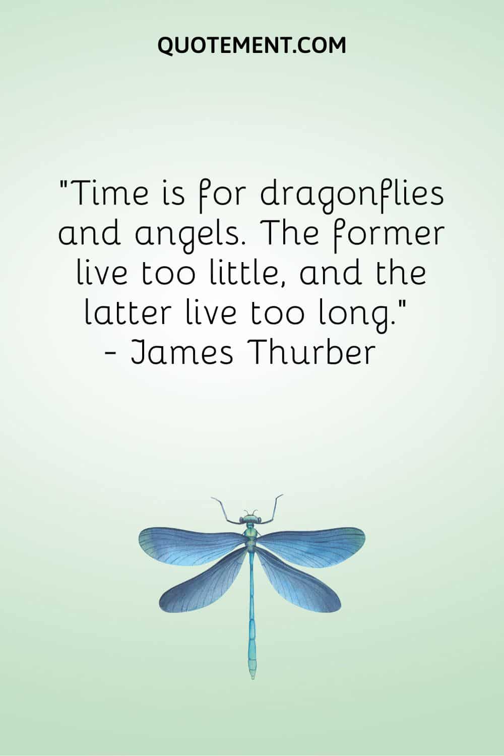 Time is for dragonflies and angels