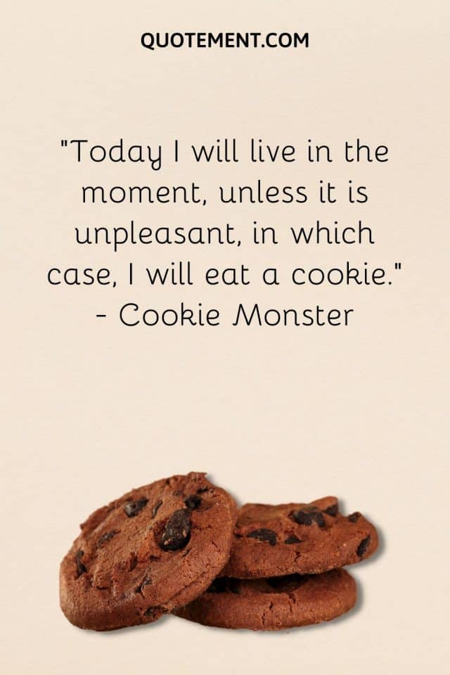 120 Awesome Cookie Quotes To Make You Wanna Bake Some