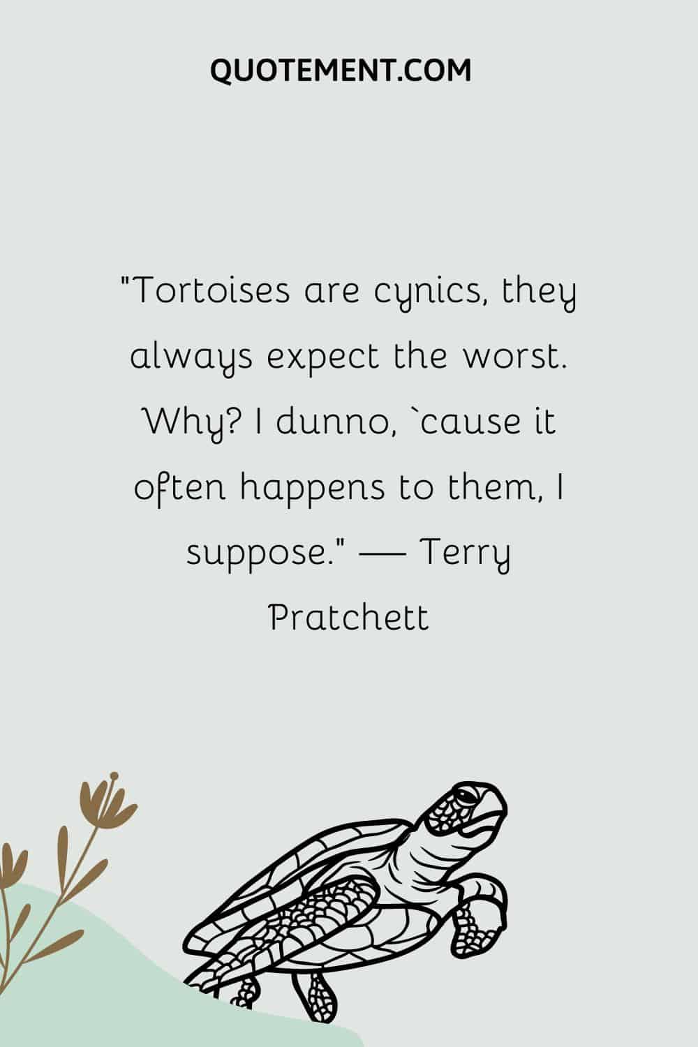Tortoises are cynics, they always expect the worst