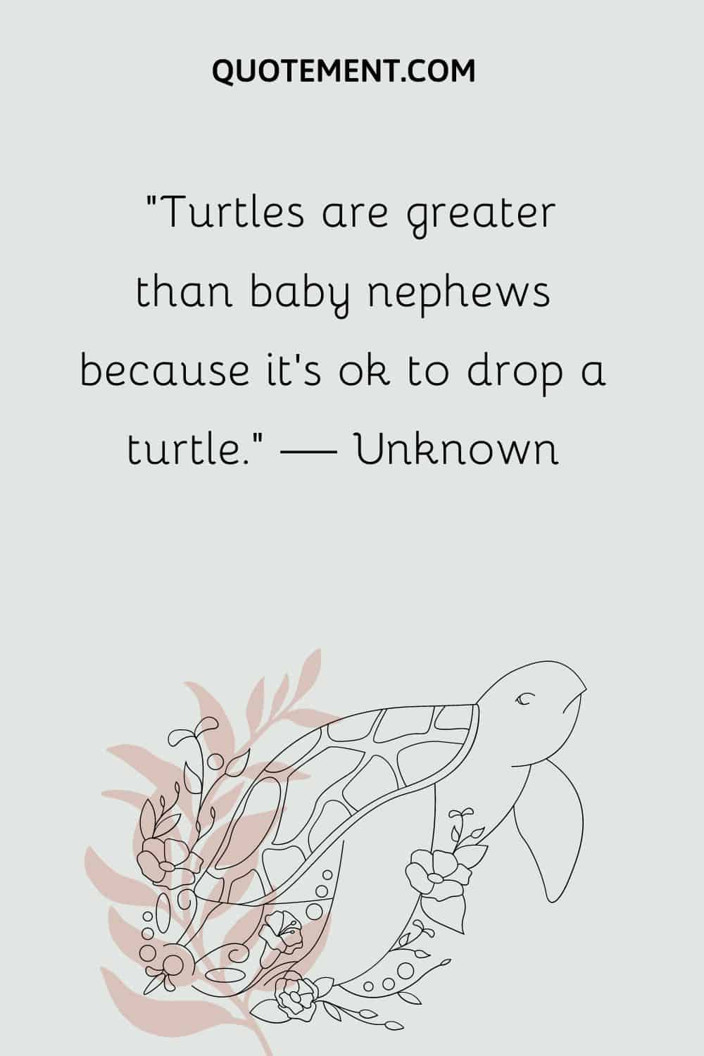 Turtles are greater than baby nephews because it’s ok to drop a turtle