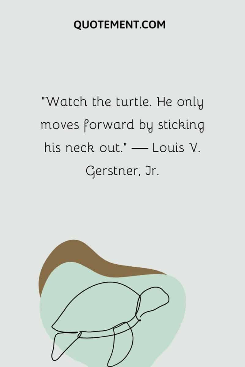 110 Turtle Quotes For Your Daily Dose Of Inspiration