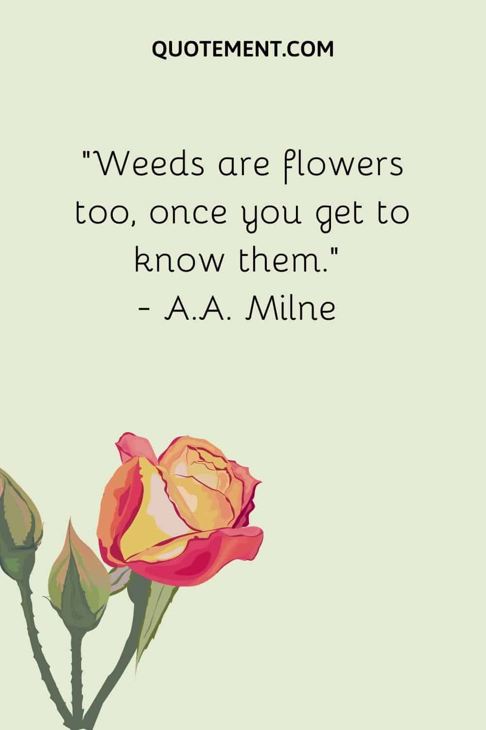 “Weeds are flowers too, once you get to know them.” — A.A. Milne