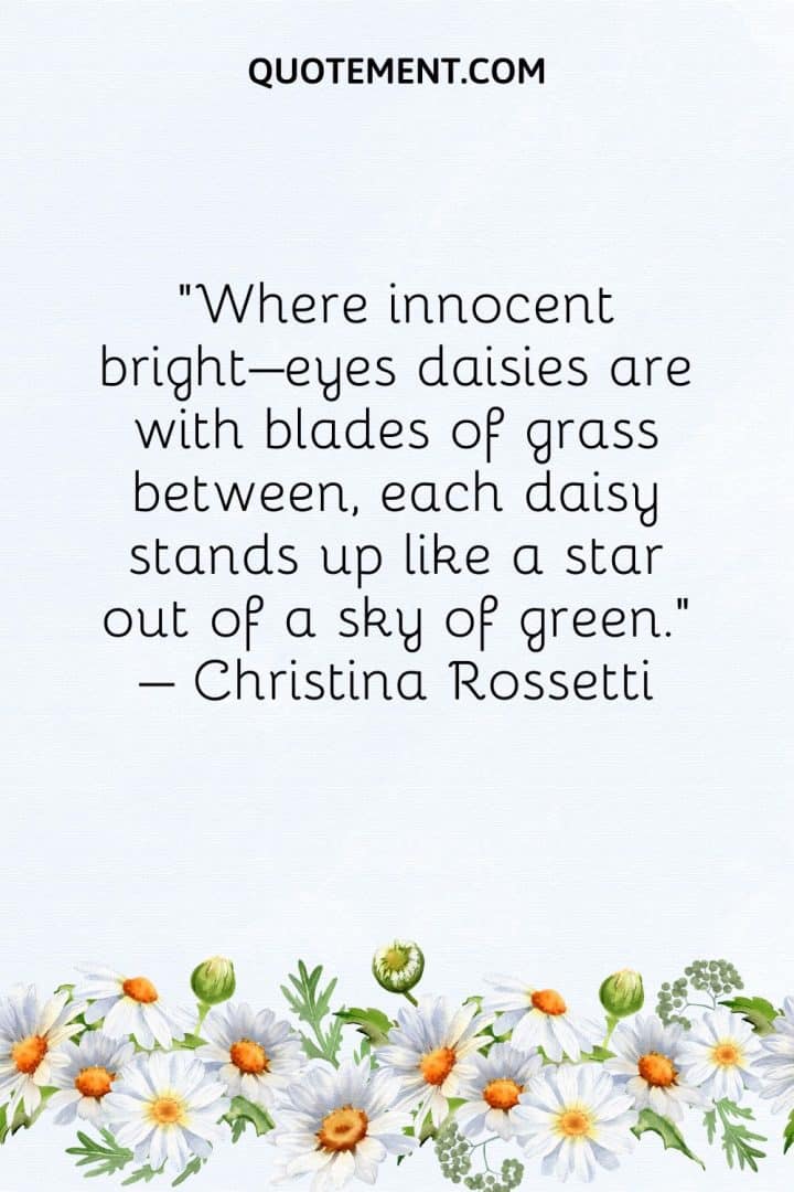 130 Lovely Daisy Quotes To Cherish Its Power And Beauty