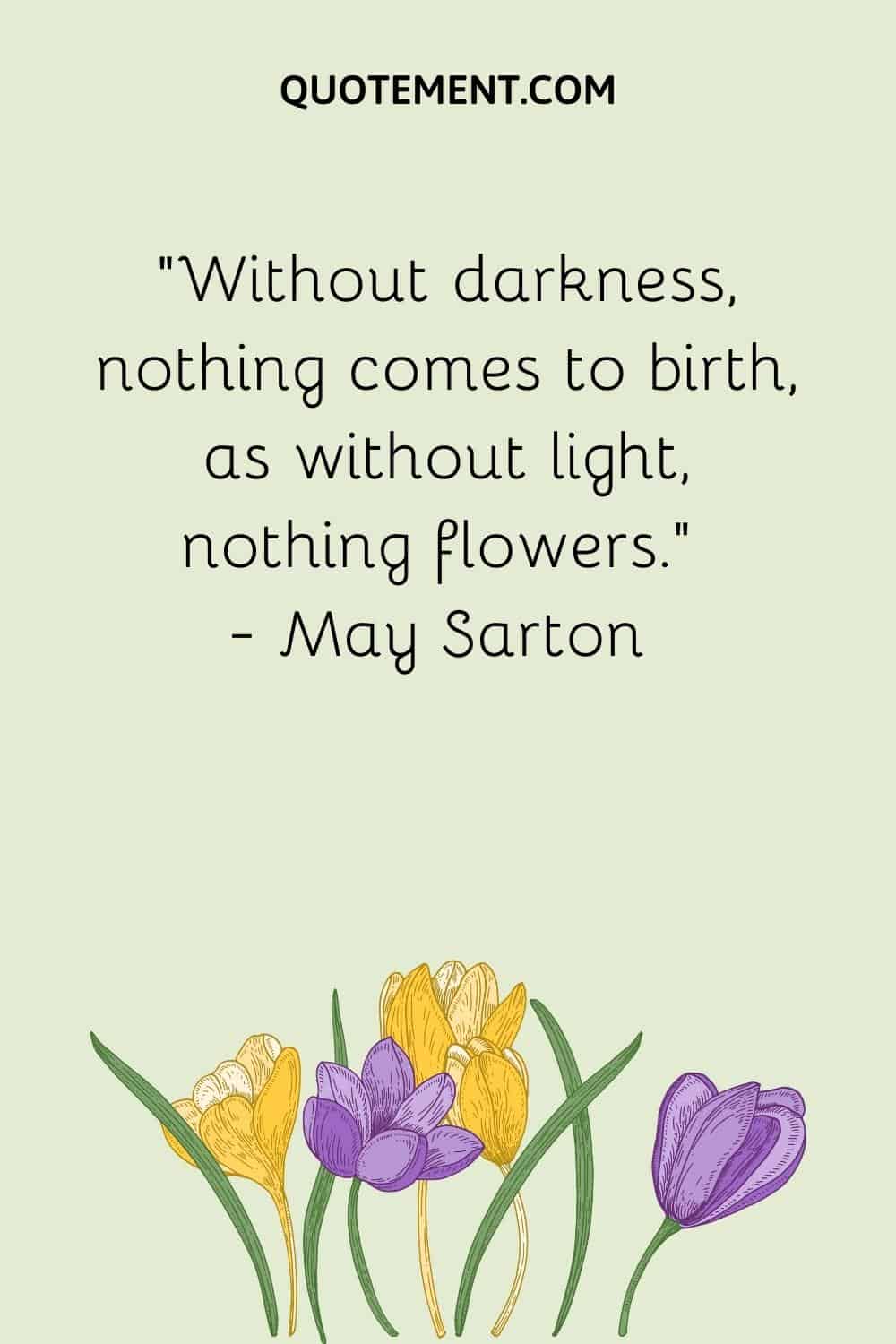 “Without darkness, nothing comes to birth, as without light, nothing flowers.” — May Sarton